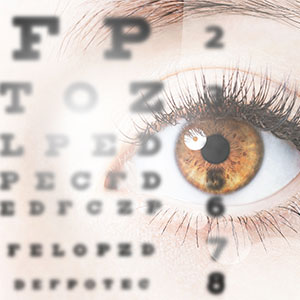Optical Store in Palm Beach Gardens